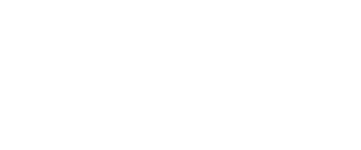 ANDI del Futuro
